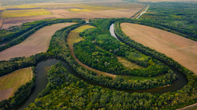 Moldova-forest